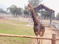 -西安秦岭野生动物园