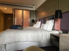 -南京禄口机场雅高铂尔曼大酒店