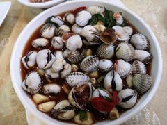 -肥信潮菜(科新路店)