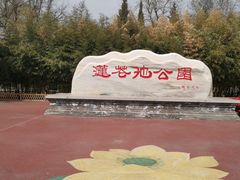 -莲花池公园