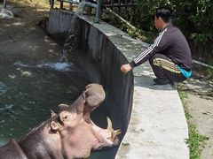 -西安秦岭野生动物园