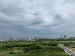 -哈尔滨大剧院