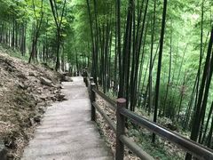 -藏龙百瀑风景区