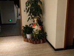 -碧桂园泰富城售楼部