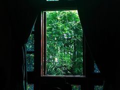 -松茸小馆·云南特色餐厅