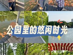 -昆山城市生态森林公园