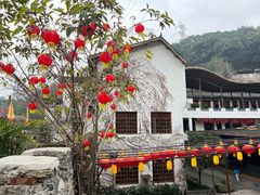 -巴倒烫陆派火锅山庄(南山总店)