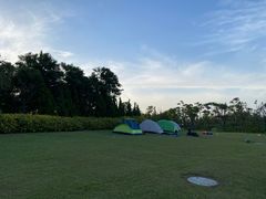 -春花秋色城市公园