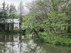 -西溪国家湿地公园