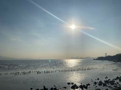 -深圳湾公园(南山区)