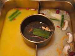 -九鼎轩脆毛肚火锅(商业街店)