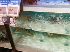 -盒马X会员店(王府井奥莱UP TOWN店)