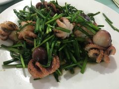 八爪鱼炒韭菜-宁悦海鲜家常菜馆(北戴河老虎石店)