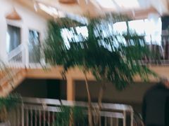-满天星花园