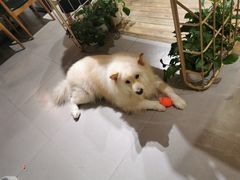 -肆兮眼镜·蔡司·徕卡战略合作店(大坪店)