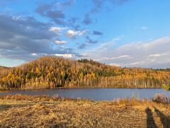-五营红松林海景区
