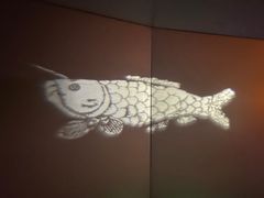 -白鹤梁水下博物馆