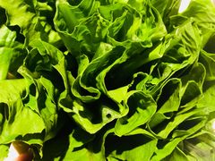 -海底捞火锅(亲子主题北金鹰店)