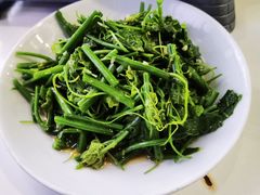 龙须菜-帕米尔食府(白云观店)