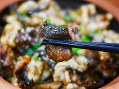 -红星光发煲仔饭(大石街店)