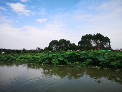-老杨砂锅鱼庄