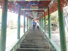 -高尔山公园