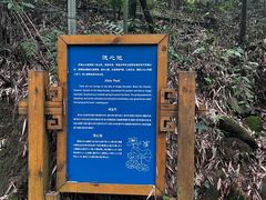-凤栖山