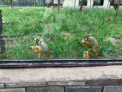 -石家庄市动物园