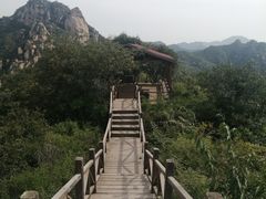 -大岭沟猕猴桃谷风景区