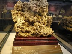 -正佳自然科学博物馆