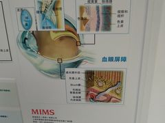 -浙江大学医学院附属第二医院眼科中心