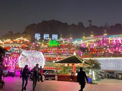 -枇杷园食为鲜火锅(南山店)