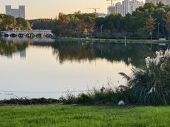 -昆山城市生态森林公园