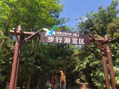 -海南热带野生动植物园