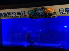 -成都浩海立方海洋公园