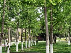 -汉长安城未央宫国家考古遗址公园