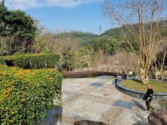 -深圳仙湖植物园