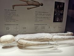 -辽宁省博物馆