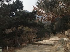 -北京鹫峰国家森林公园