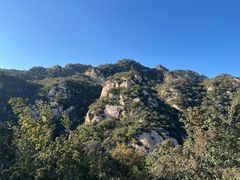 -大岭沟猕猴桃谷风景区