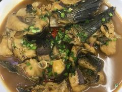 -全乐鱼馆·淳牌有机鱼直营店