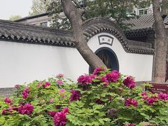-荣国府