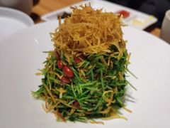 巧拌豆苗-四季民福烤鸭店(前门廊房二条店)
