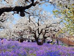 -江苏三台山国家森林公园