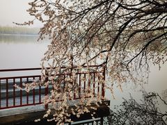 -颐和园