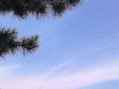-香山公园