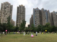 -成都南湖公园