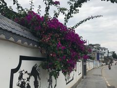 -夏黑子坛子鱼(总店)