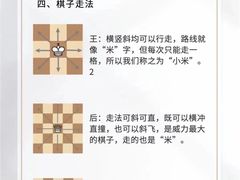 -申城国际象棋(联洋部)