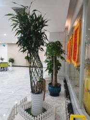 -纵享怡月月子中心(西稍门店)